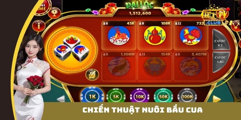Chiến thuật nuôi bầu cua
